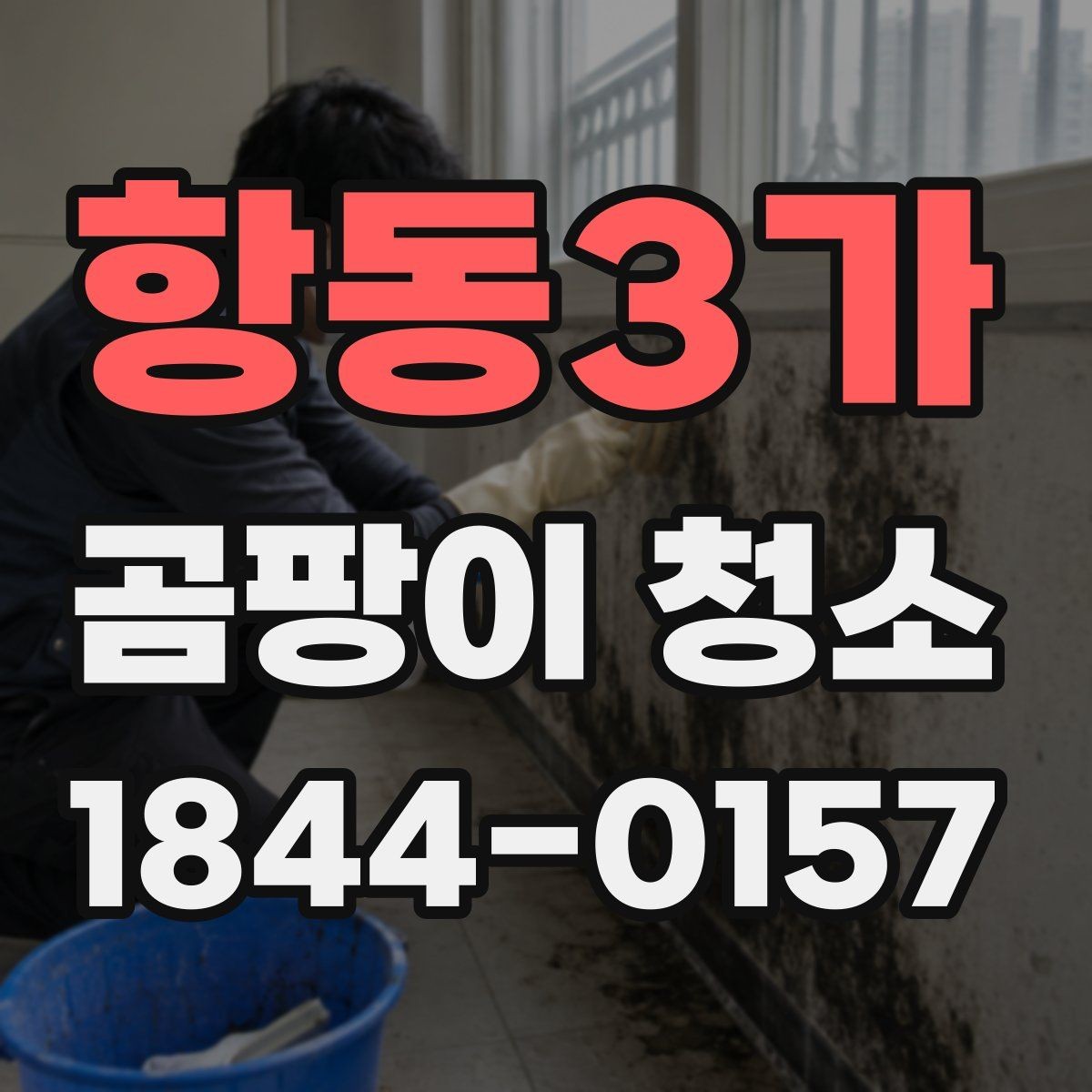 항동3가 곰팡이 청소 업체의 작업 방식 살펴보기