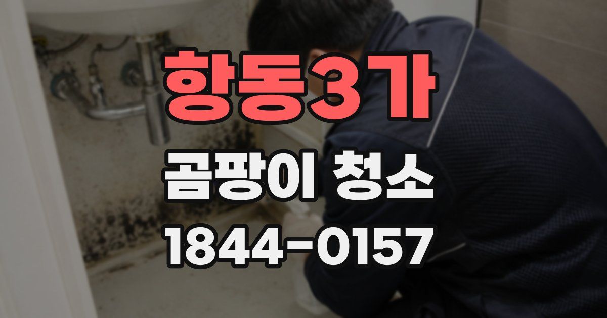 항동3가 곰팡이 청소