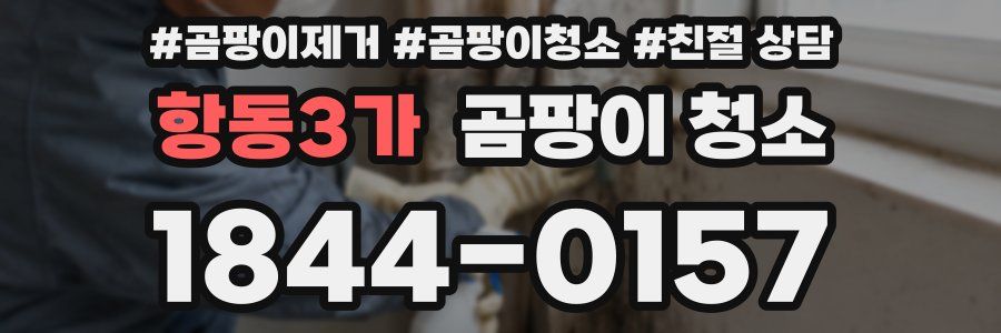 항동3가 곰팡이 청소
