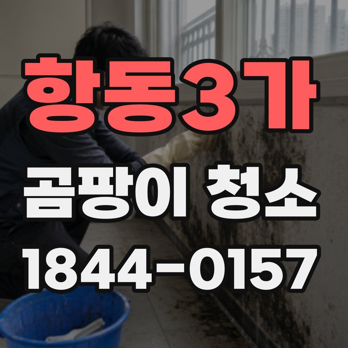 항동3가 곰팡이 청소