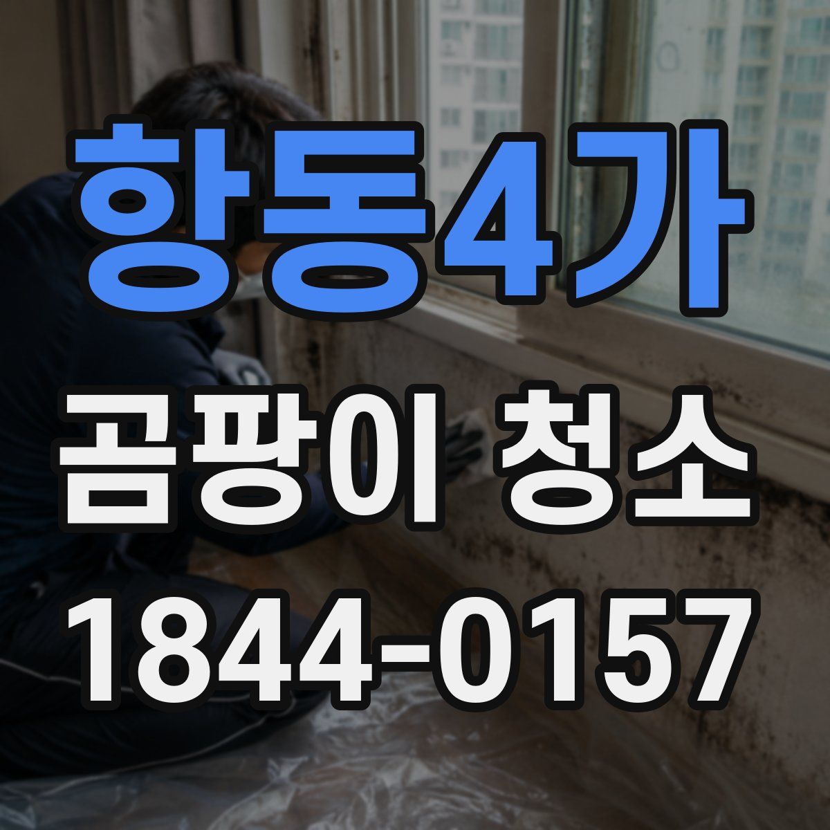 항동4가 곰팡이 청소