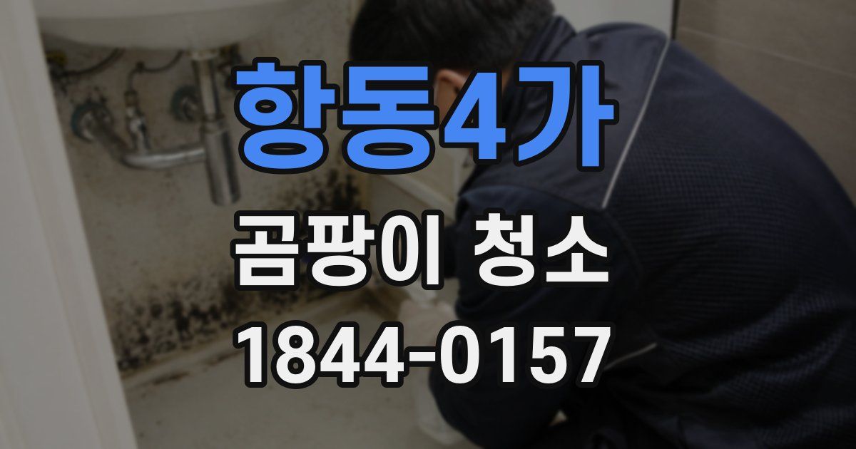 항동4가 곰팡이 청소
