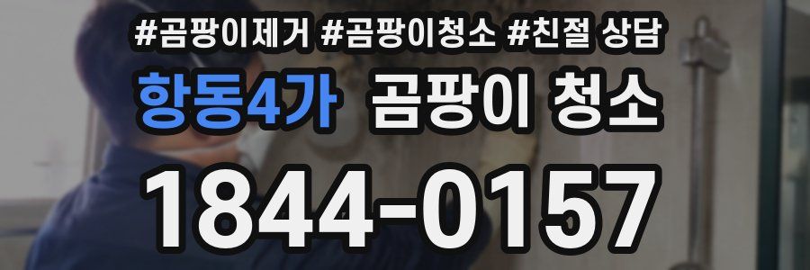 항동4가 곰팡이 청소