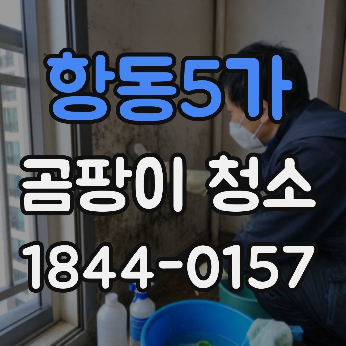 항동5가 곰팡이 청소 상담에서 확인되는 핵심 항목