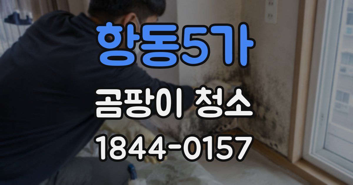 항동5가 곰팡이 청소
