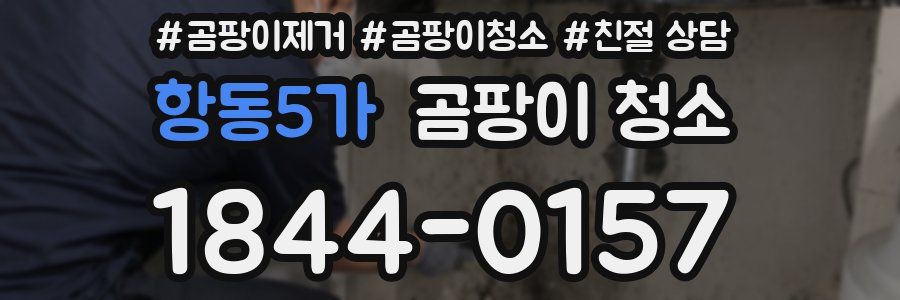 항동5가 곰팡이 청소