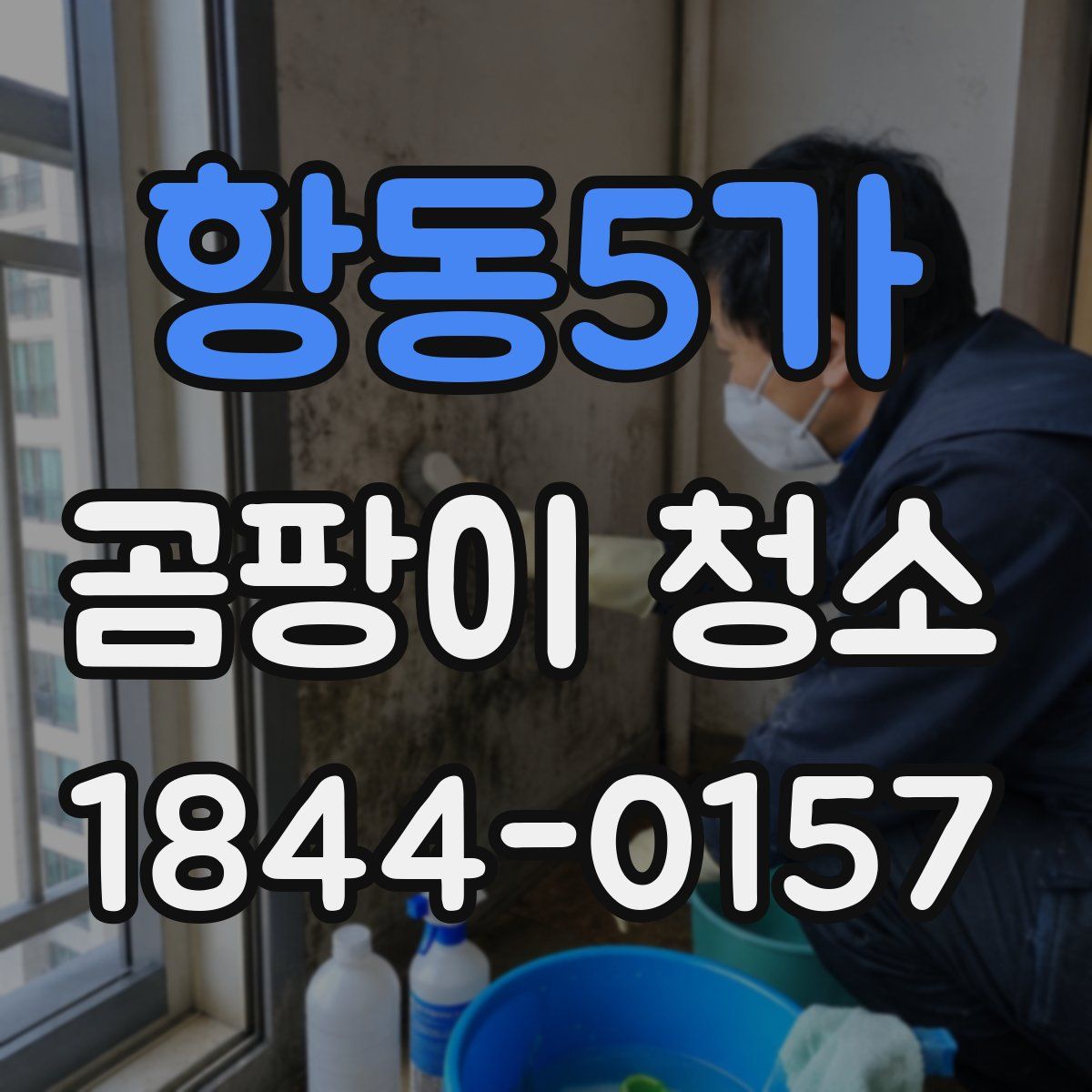항동5가 곰팡이 청소