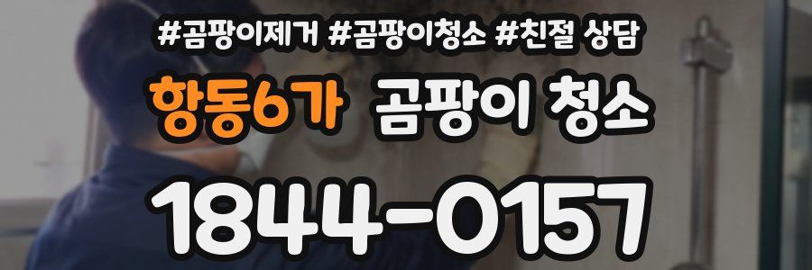 항동6가 곰팡이 청소