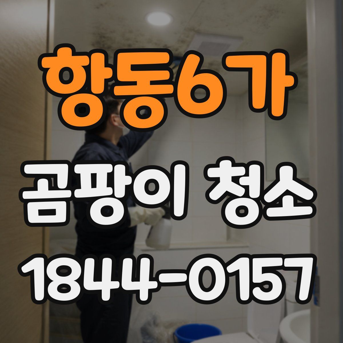 항동6가 곰팡이 청소