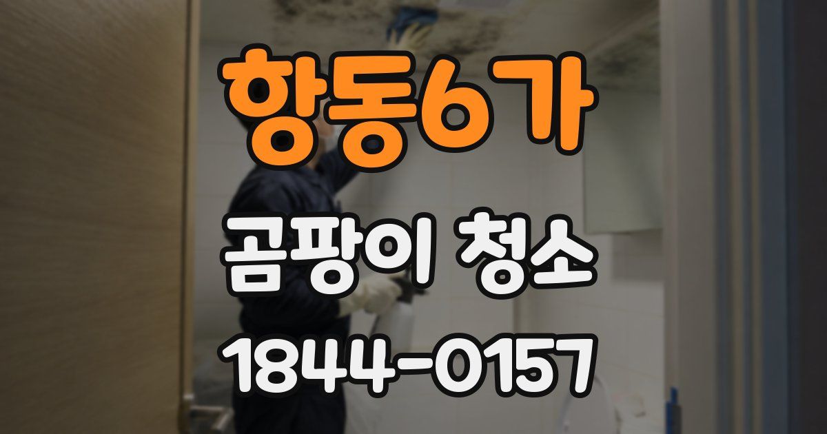 항동6가 곰팡이 청소