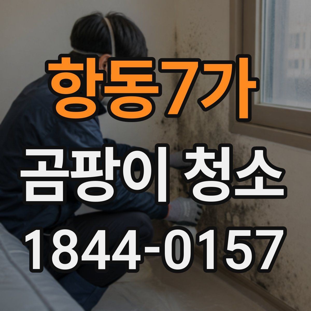 항동7가 곰팡이 청소 작업 후 점검해야 할 결과