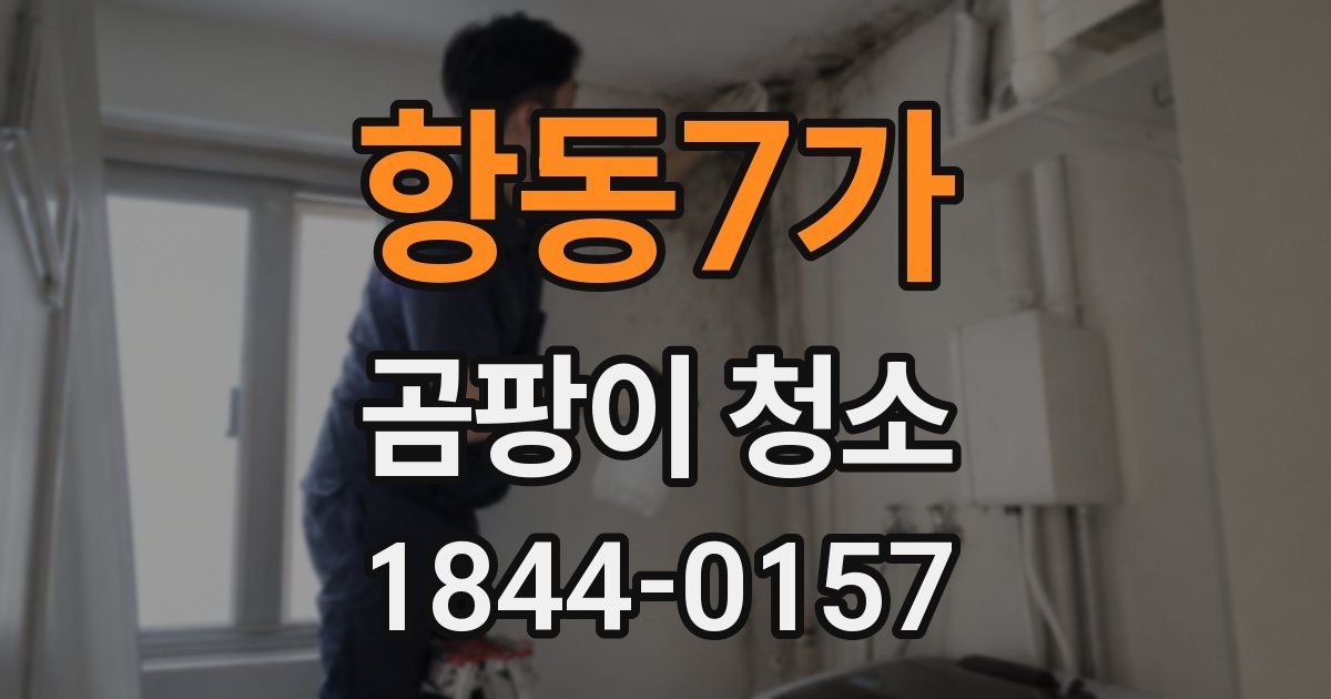 항동7가 곰팡이 청소