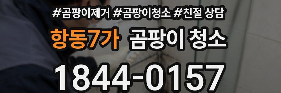 항동7가 곰팡이 청소