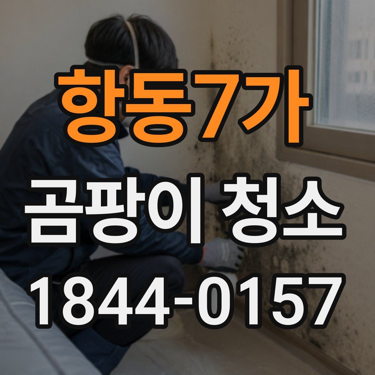 항동7가 곰팡이 청소