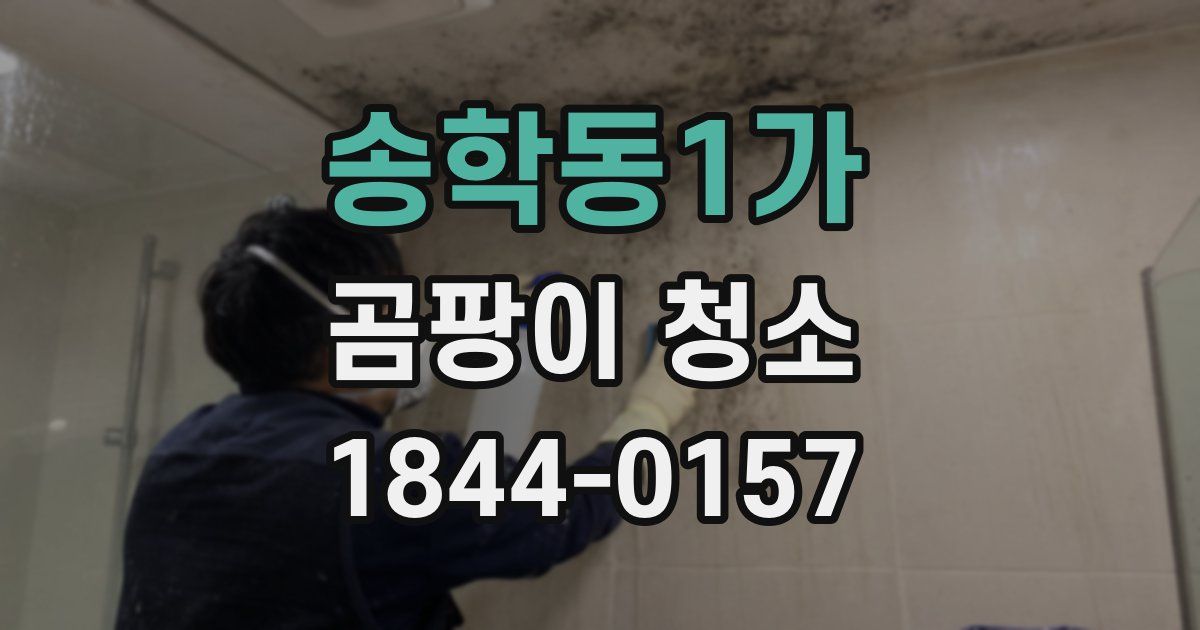 송학동1가 곰팡이 청소