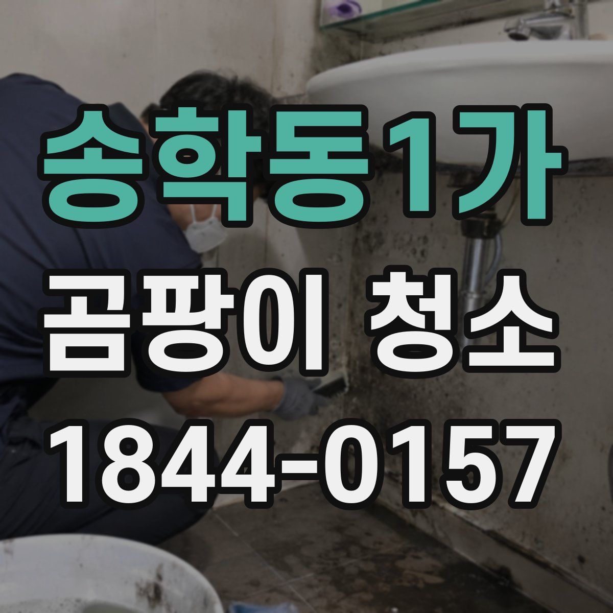 송학동1가 곰팡이 청소