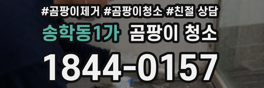 송학동1가 곰팡이 청소
