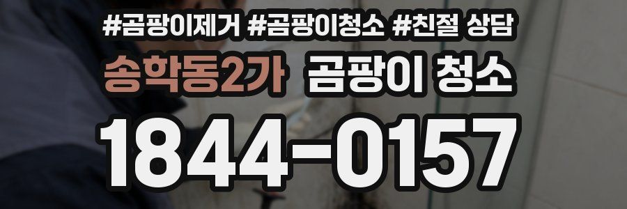송학동2가 곰팡이 청소