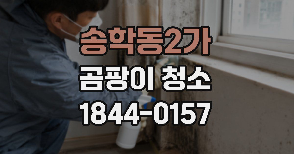 송학동2가 곰팡이 청소