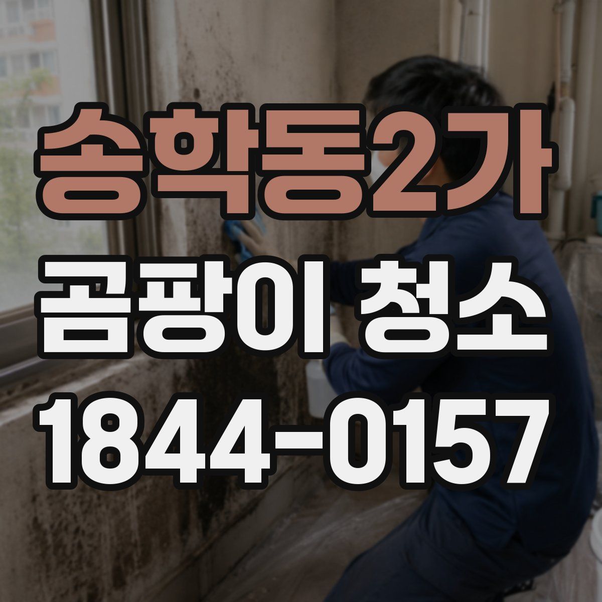 송학동2가 곰팡이 청소