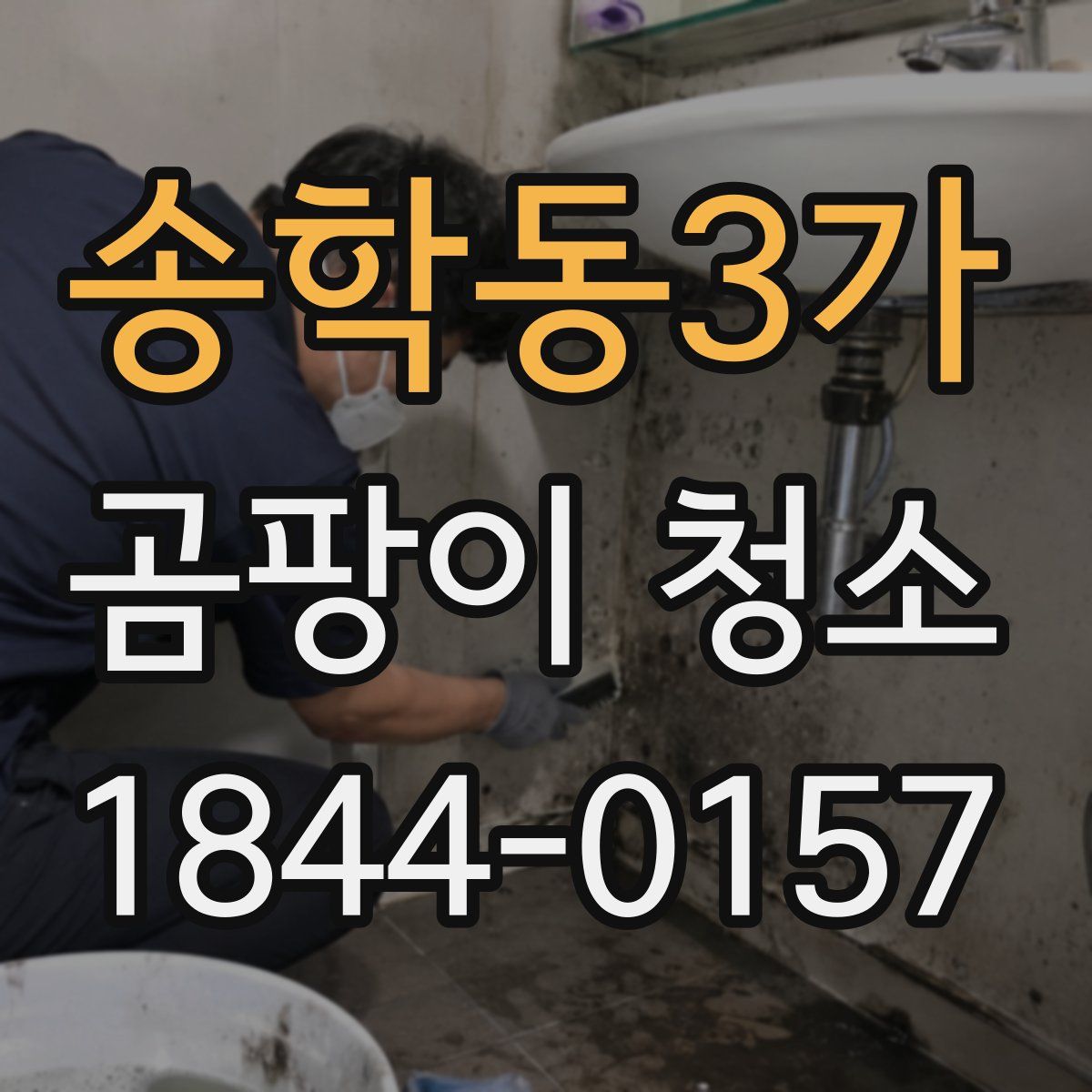 송학동3가 곰팡이 청소