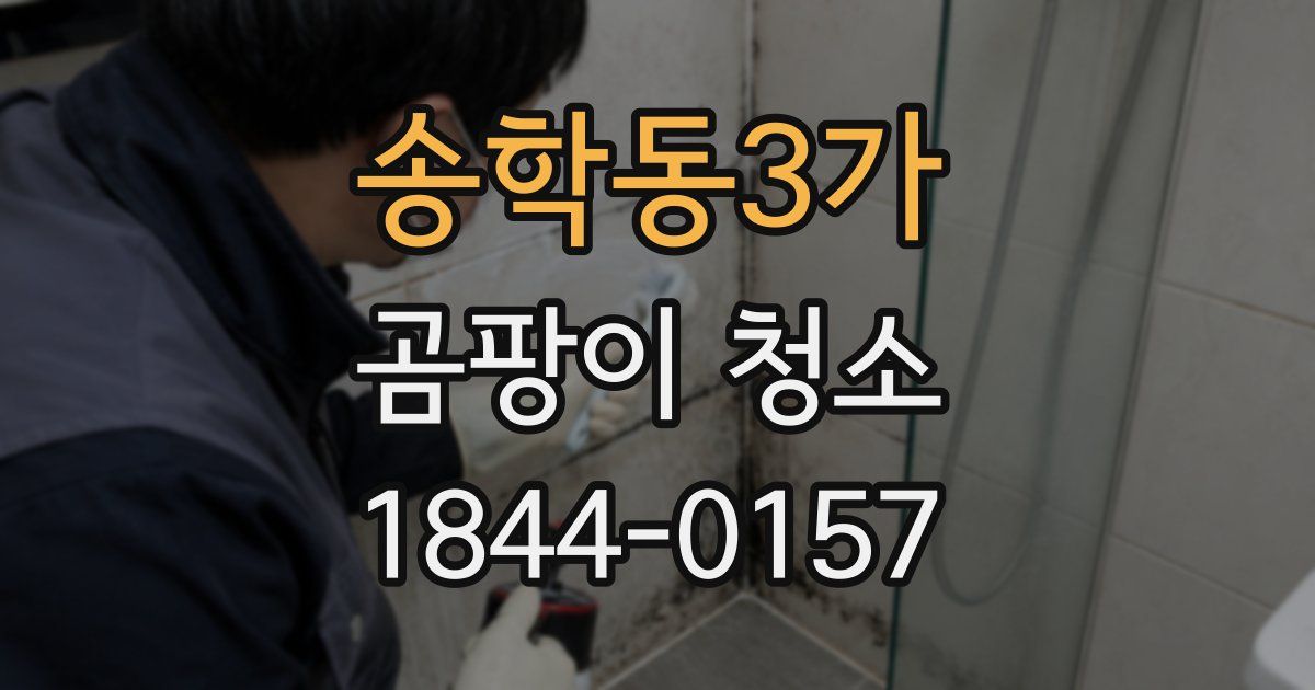 송학동3가 곰팡이 청소