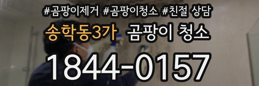 송학동3가 곰팡이 청소