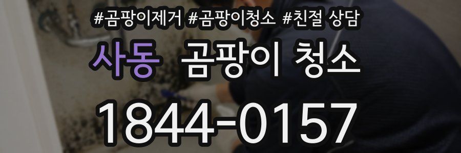 사동 곰팡이 청소