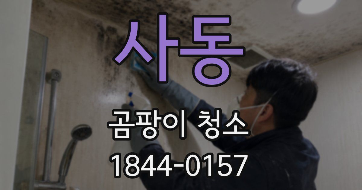 사동 곰팡이 청소