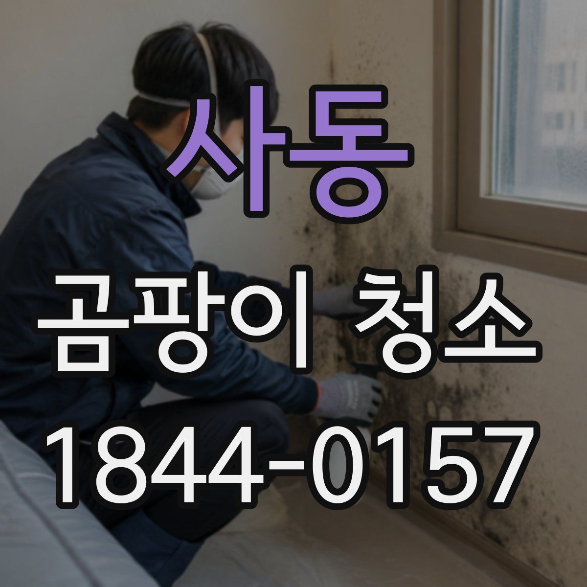 사동 곰팡이 청소