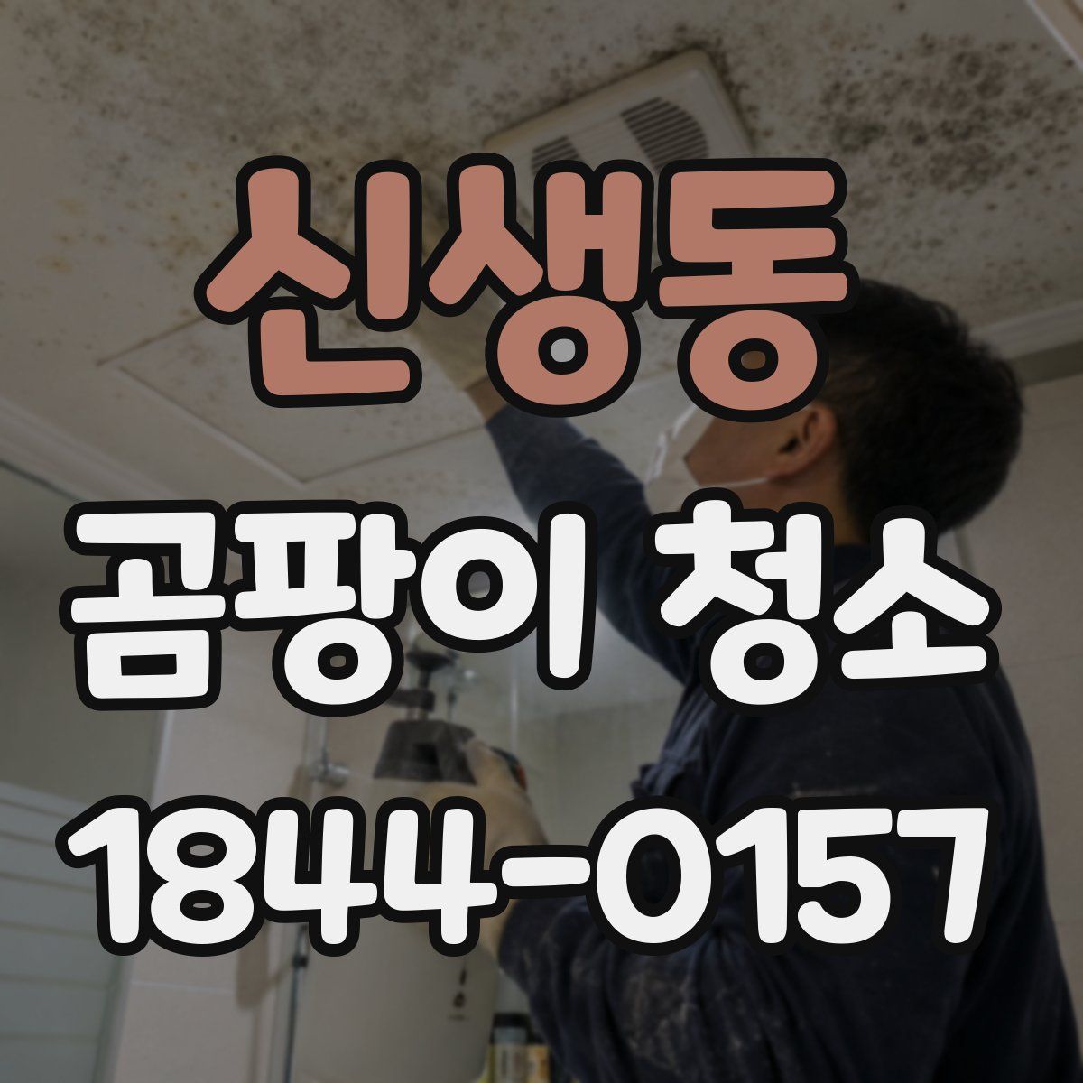 신생동 곰팡이 청소