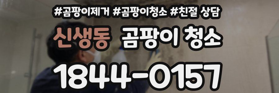 신생동 곰팡이 청소