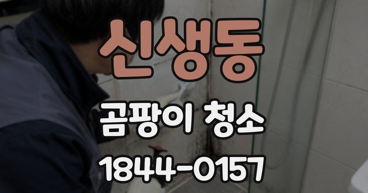 신생동 곰팡이 청소