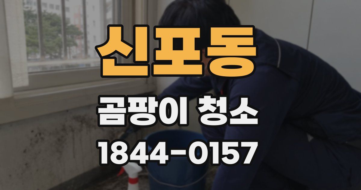 신포동 곰팡이 청소