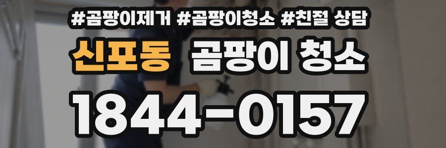 신포동 곰팡이 청소