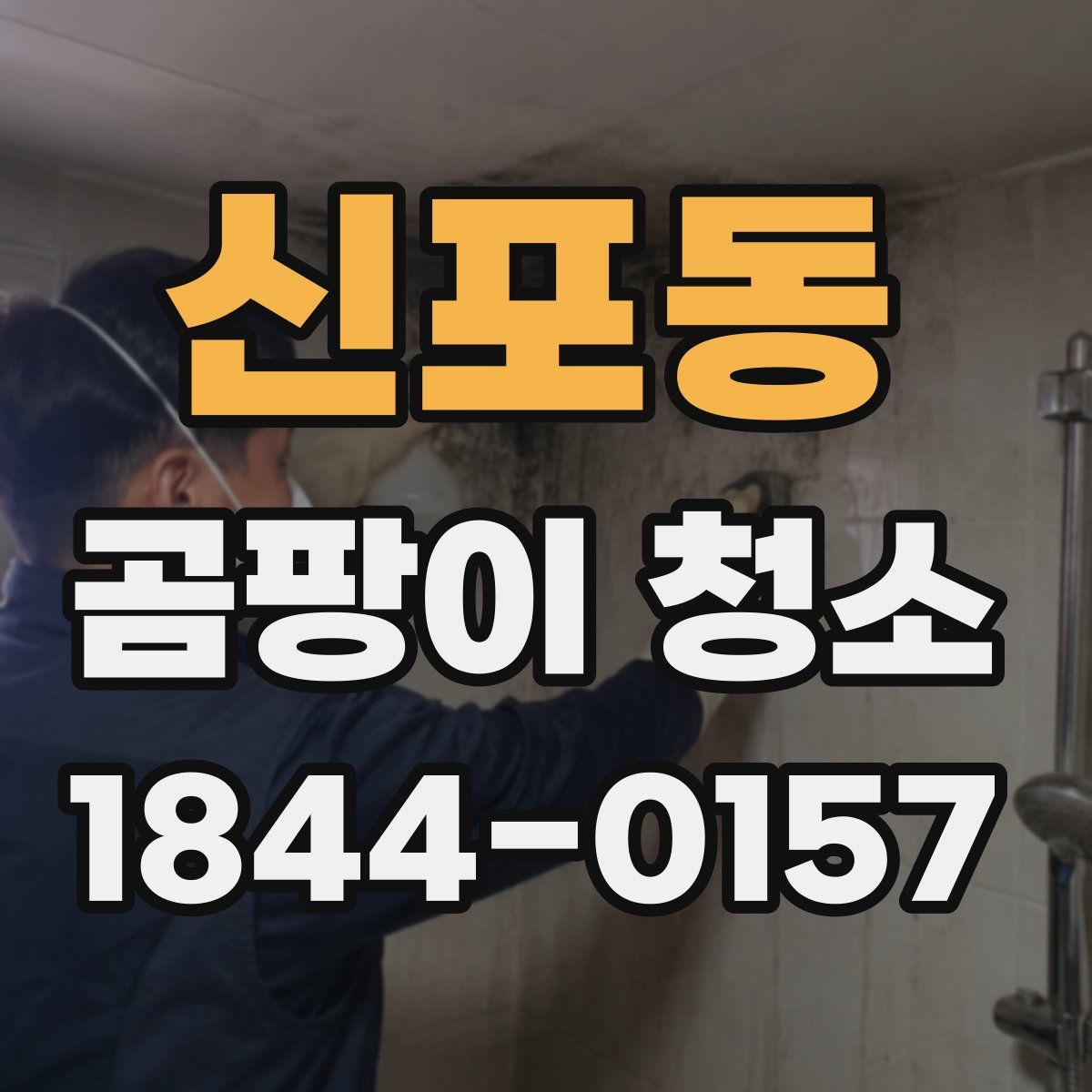 신포동 곰팡이 청소