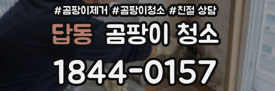 답동 곰팡이 청소