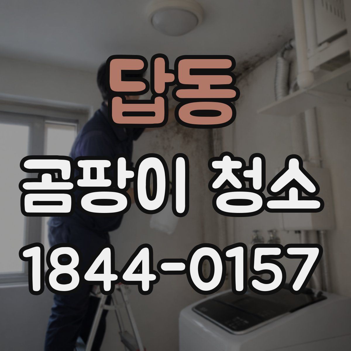 답동 곰팡이 청소