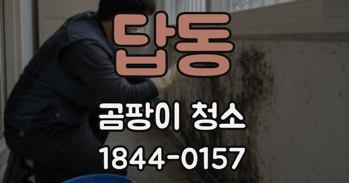답동 곰팡이 청소