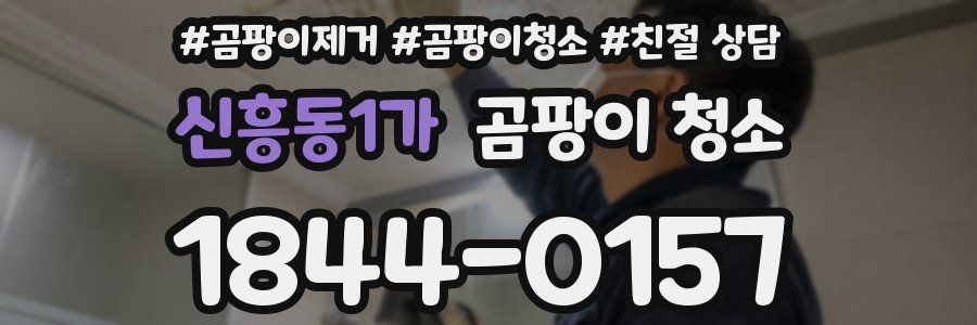 신흥동1가 곰팡이 청소