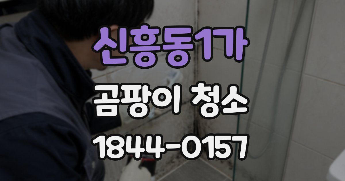 신흥동1가 곰팡이 청소