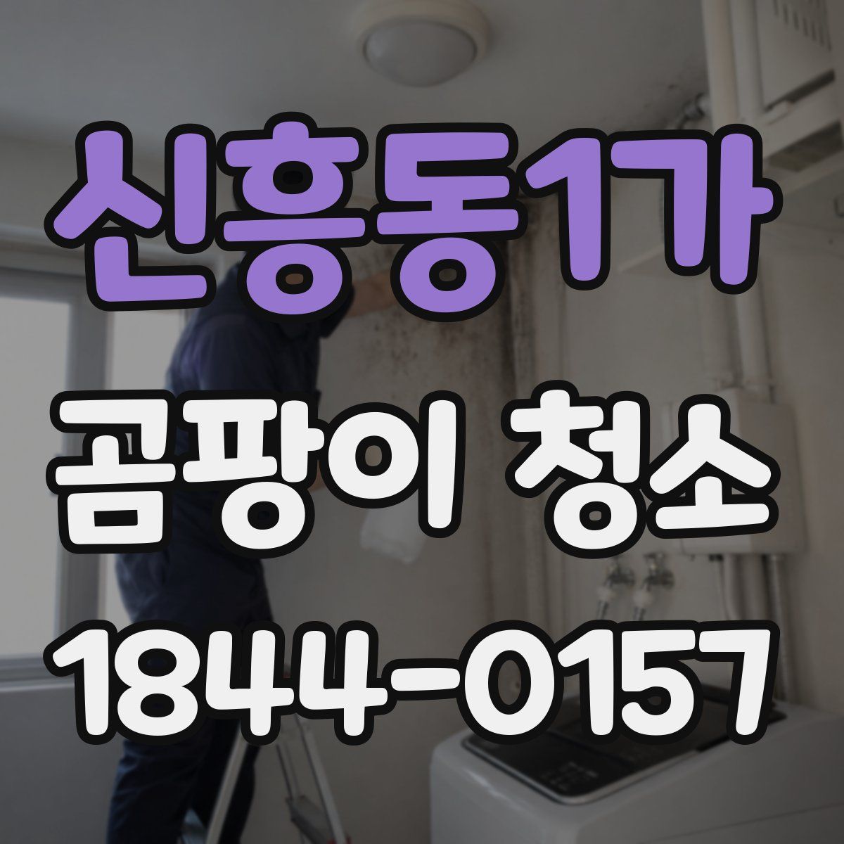 신흥동1가 곰팡이 청소
