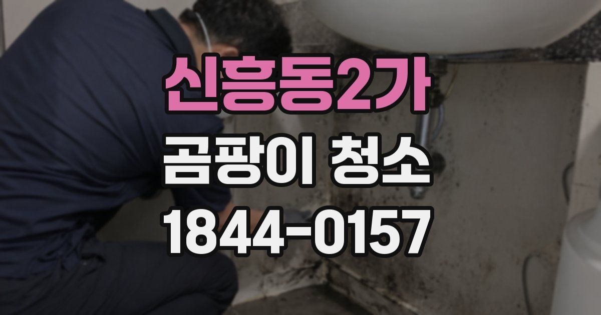 신흥동2가 곰팡이 청소
