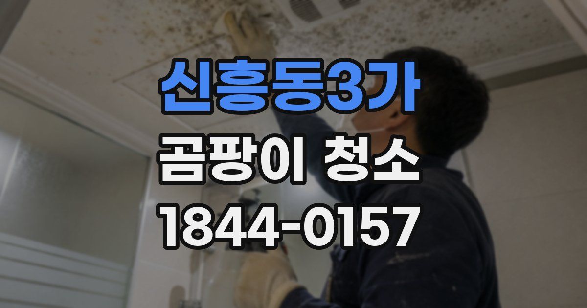 신흥동3가 곰팡이 청소