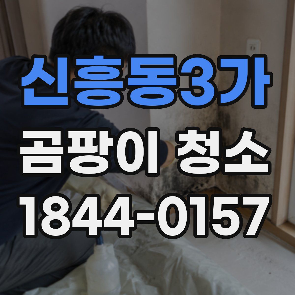 신흥동3가 곰팡이 청소