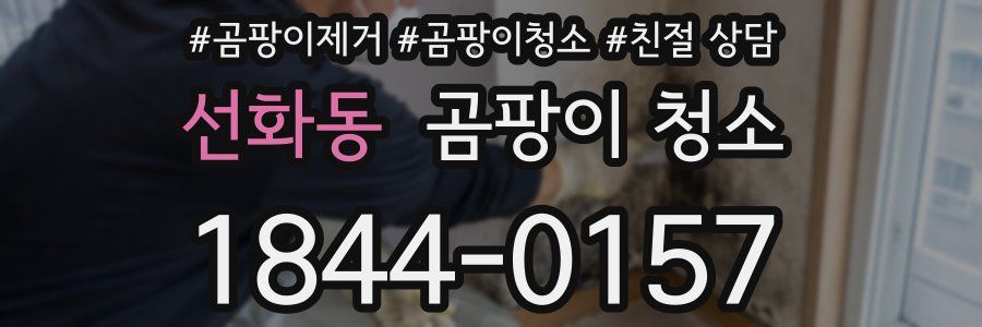 선화동 곰팡이 청소