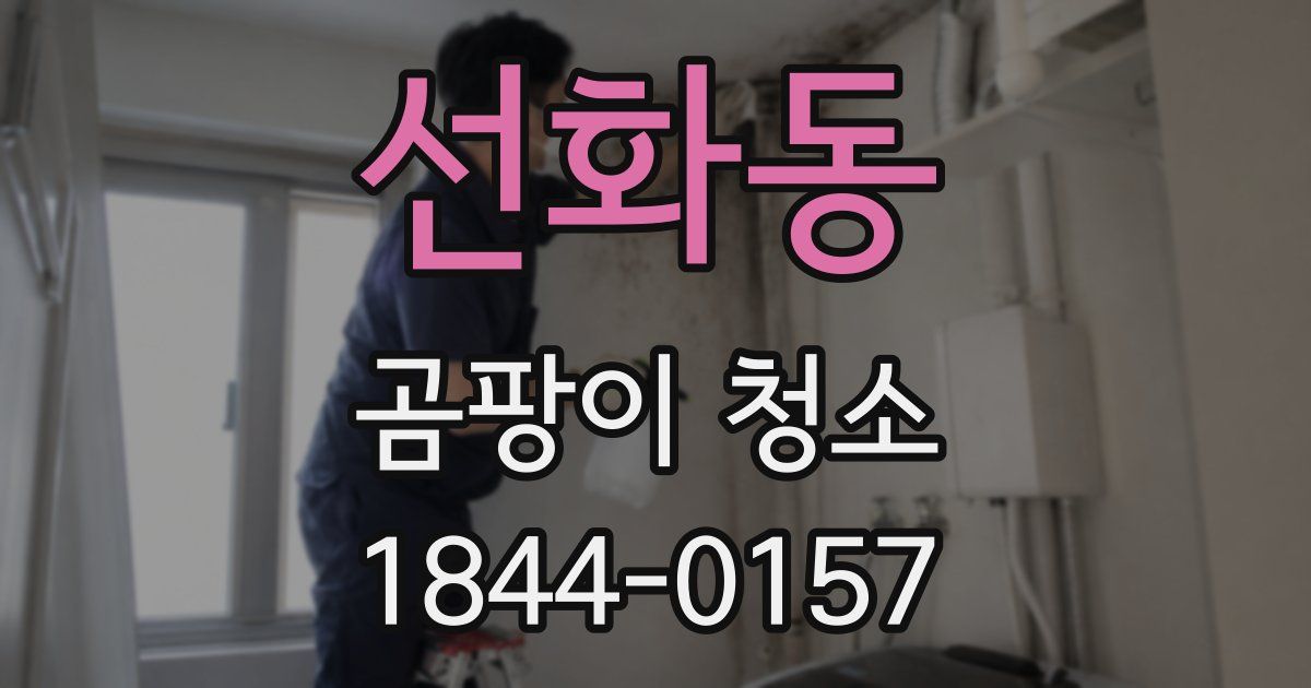 선화동 곰팡이 청소