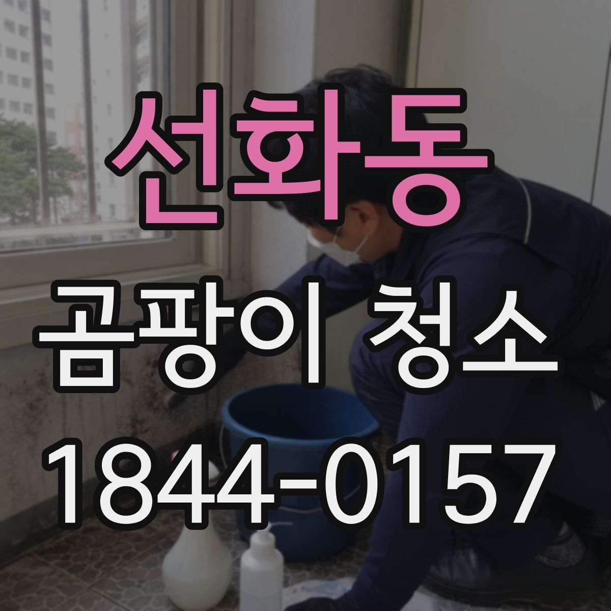 선화동 곰팡이 청소