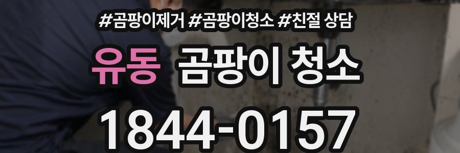 유동 곰팡이 청소
