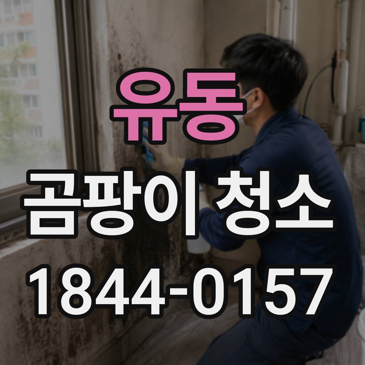 유동 곰팡이 청소